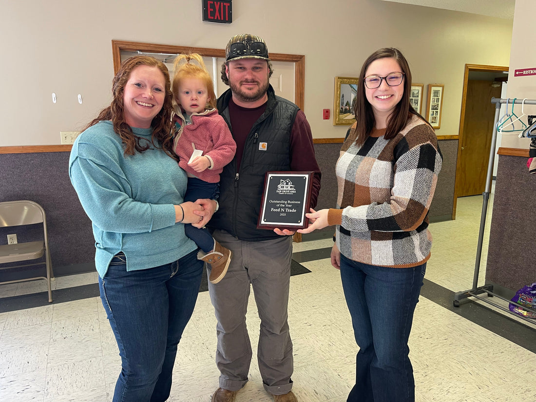 Outstanding Business of the Year: Feed N Trade